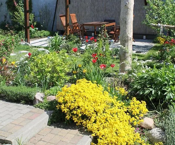 Appartement Strandnahe Mit Garten